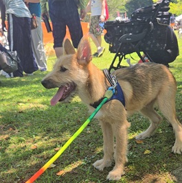 �y�򃉃b�L�[�i�G��j2 |